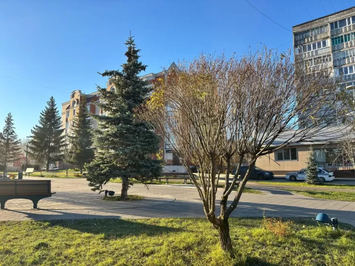 31 октябрьгә һава торышы