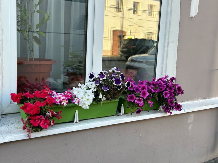 Начар күршедән саклану догасы