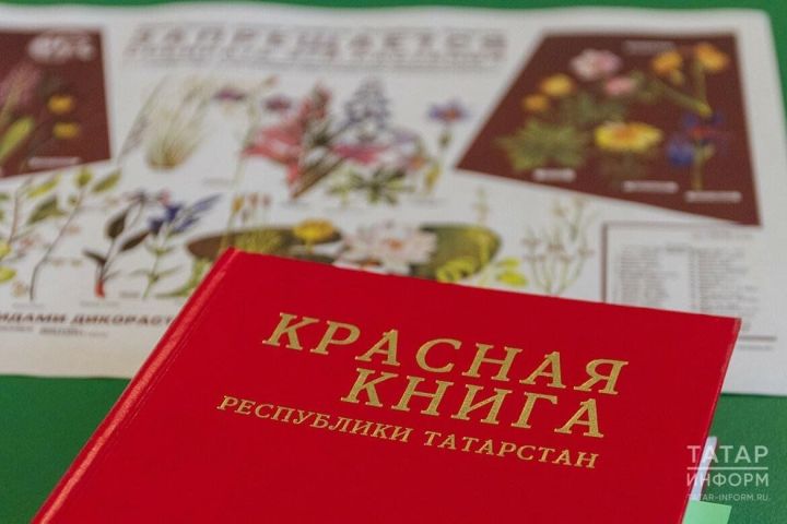 Табигатьне саклауда тарихи адым: Татарстанда Кызыл китап беренче тапкыр ике телдә бастырылды