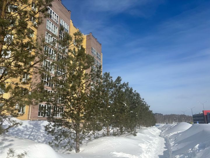 24 февральгә һава торышы
