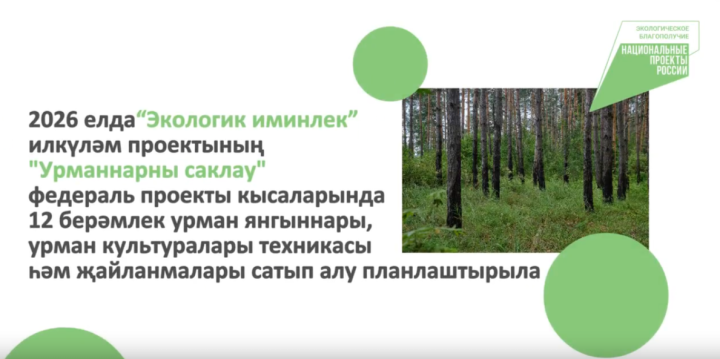 2026 елда Татарстан урман хуҗалыгы өчен 12 берәмлек техника сатып алачак