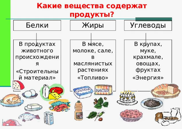 Намуслы билге» («Честный знак») кушымтасындагы «Нинди продукт?» сервисы ни өчен кирәк? (сорау-җавап)