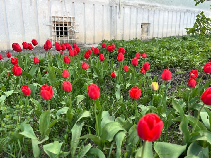12 майга һава торышы