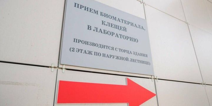 Татарстанда сезон башыннан талпан боррелиозының беренче очраклары ачыкланды