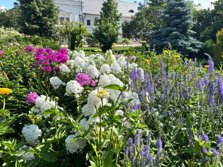 15 июльгә һава торышы