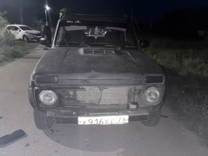 Яшел Үзән районының Мизиново авылында машина электросамокатта йөргән 10 яшьлек малайны бәрдергән